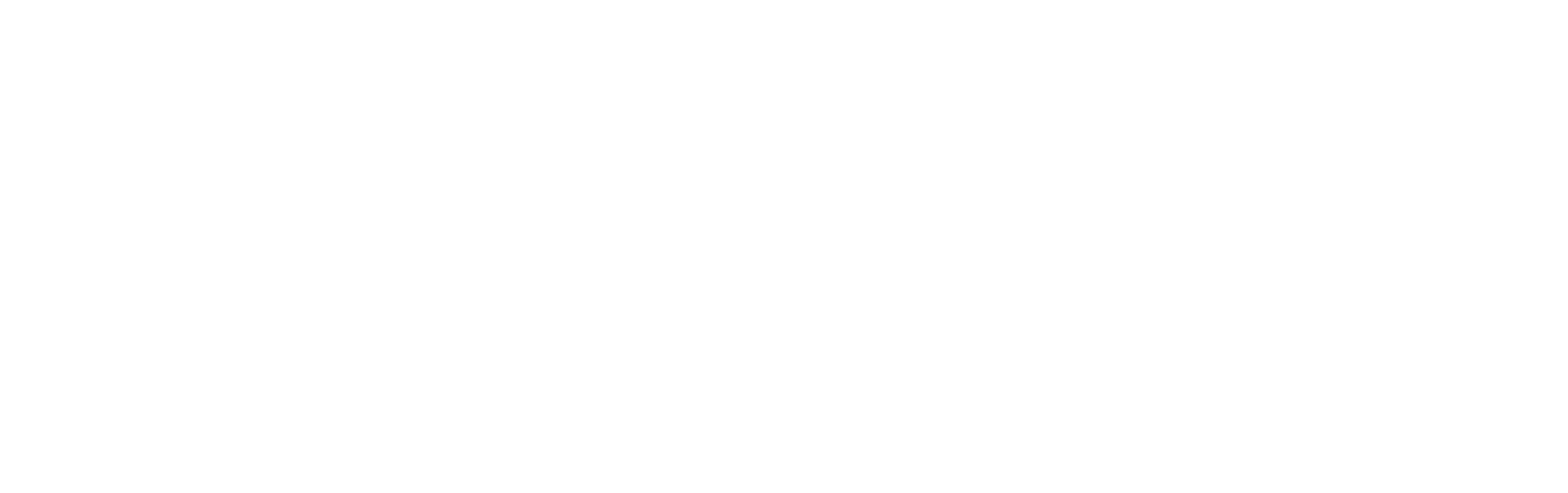 Dassault Systèmes Logo